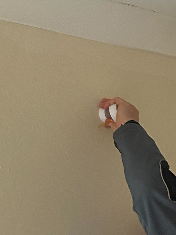 Vittoria Zerbini , London